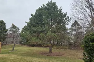 1151 Barkston Ln, Aurora, IL 60502 - Photo 18