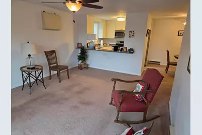 6800 W Raven Street #205, Chicago, IL 60631 - Photo 10