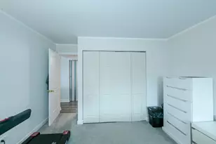 2515 E Olive St, Arlington Heights, IL 60004 - Photo 18