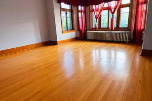 6733 S Maplewood Ave, Chicago, IL 60629 - Photo 12