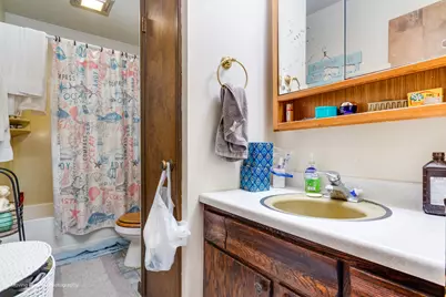 40W815 Big Timber Road, Hampshire, IL 60140 - Photo 38