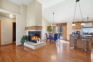 862 Berkshire Pl, Crete, IL 60417 - Photo 2