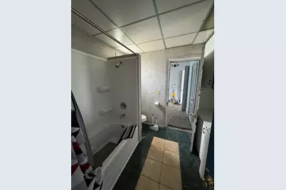 245 E Orleans Street E, Paxton, IL 60957 - Photo 10