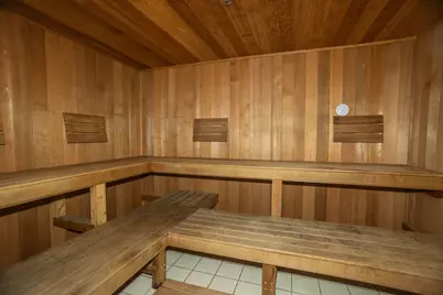 25 E Superior Street #705, Chicago, IL 60611 - Photo 28