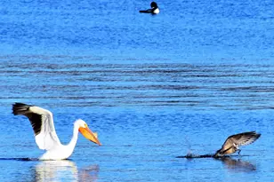 4713 E Lake Shore Dr, Wonder Lake, IL 60097 - Photo 40