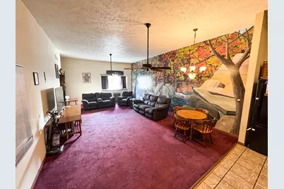 203 W Madison Street, Pontiac, IL 61764 - Photo 4