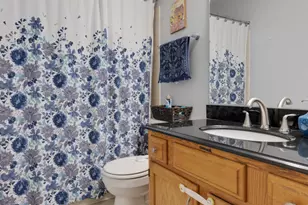 204 Dublin Ln, Schaumburg, IL 60194 - Photo 22