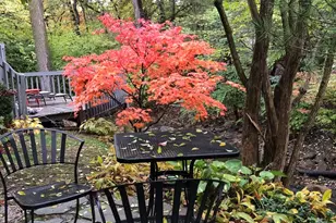 11515 Burr Oak Ln, Burr Ridge, IL 60527 - Photo 62