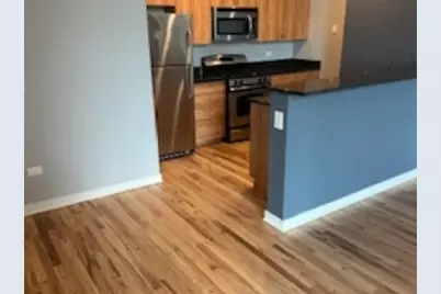 1224 W Van Buren Street #511, Chicago, IL 60607 - Photo 2