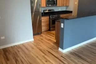 1224 W Van Buren St, Chicago, IL 60607 - Photo 2