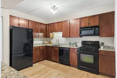 410 W Mahogany Court #509, Palatine, IL 60067 - Photo 18