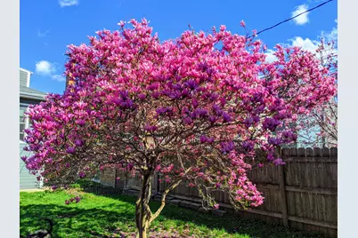 3834 N Drake Avenue, Chicago, IL 60618 - Photo 32