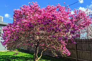 3834 N Drake Ave, Chicago, IL 60618 - Photo 32