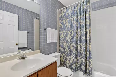 217 New Bridge Court, Palatine, IL 60067 - Photo 20