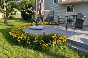 2815 Cooper Ct, Woodridge, IL 60517 - Photo 2