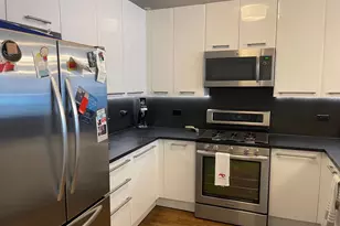 450 E Waterside Dr, Chicago, IL 60601 - Photo 4