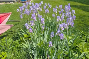 1932 Banks Dr, Elgin, IL 60123 - Photo 28