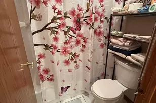 804 Deer Path Ln, Elwood, IL 60421 - Photo 14