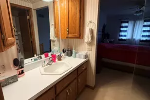 804 Deer Path Ln, Elwood, IL 60421 - Photo 12