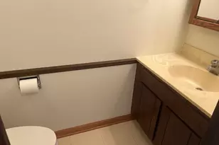 626 Terry Ct, Roselle, IL 60172 - Photo 14