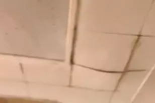 6062 S 74th Ct, Summit, IL 60501 - Photo 8