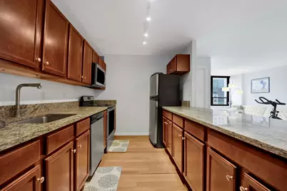 222 E Pearson Street #1904, Chicago, IL 60611 - Photo 8