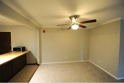 2343 Ogden Avenue #10, Downers Grove, IL 60515 - Photo 10