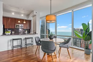505 N McClurg Ct, Chicago, IL 60611 - Photo 10