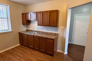 115 N Keeler Ave, Chicago, IL 60624 - Photo 6