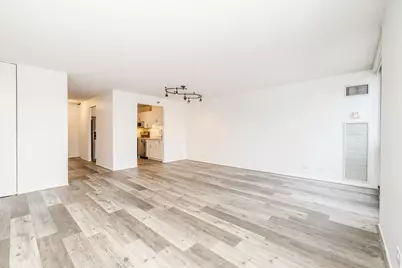 70 W Huron Street #601, Chicago, IL 60654 - Photo 28