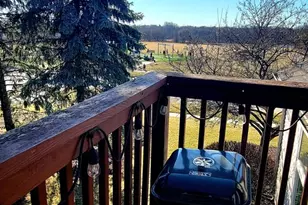 345 Thornwood Way, South Elgin, IL 60177 - Photo 34