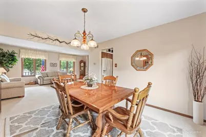 9160 Wheeler Drive, Orland Park, IL 60462 - Photo 14