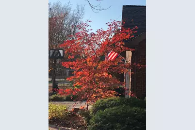 500 Buckingham Place, Downers Grove, IL 60516 - Photo 44