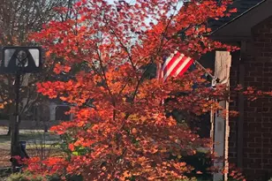 500 Buckingham Pl, Downers Grove, IL 60516 - Photo 44