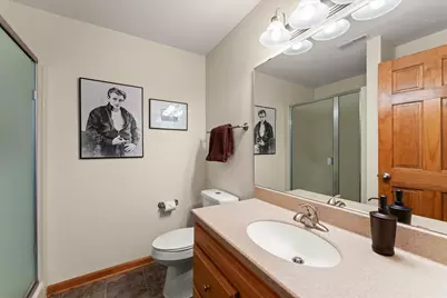 1718 Tin Cup Road, Mahomet, IL 61853 - Photo 38