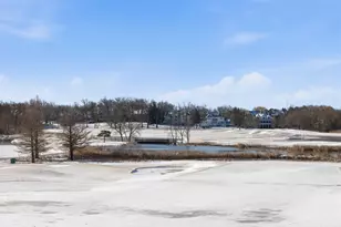 28920 N Niblick Knoll Ct, Mundelein, IL 60060 - Photo 62