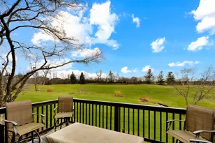 35 Red Tail Dr, Hawthorn Woods, IL 60047 - Photo 38