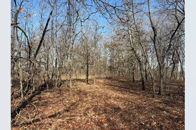 10000 4000S Road, Saint Anne, IL 60964 - Photo 2