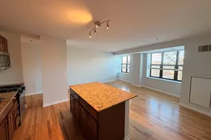 1337 W Fargo Ave, Chicago, IL 60626 - Photo 6