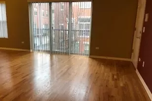 343 E 25th Pl, Chicago, IL 60616 - Photo 12