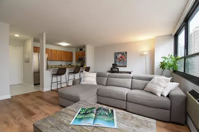 33 E Cedar Street #15F, Chicago, IL 60611 - Photo 6