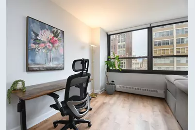 33 E Cedar Street #15F, Chicago, IL 60611 - Photo 10
