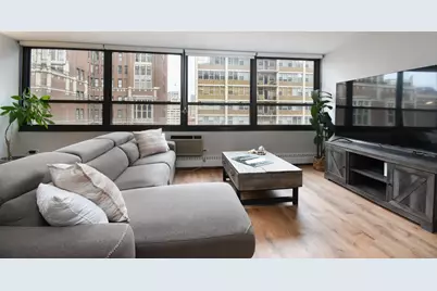 33 E Cedar Street #15F, Chicago, IL 60611 - Photo 4