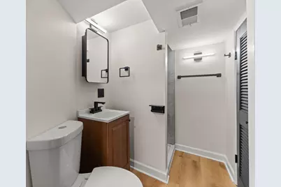 5251 S Hamlin Avenue, Chicago, IL 60632 - Photo 36