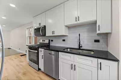 5251 S Hamlin Avenue, Chicago, IL 60632 - Photo 20