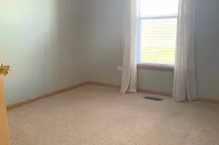 20862 W Torrey Pines Ln, Plainfield, IL 60544 - Photo 30