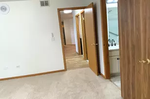 20862 W Torrey Pines Ln, Plainfield, IL 60544 - Photo 22