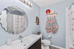 324 Lake Gillilan Way, Algonquin, IL 60102 - Photo 14