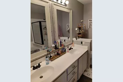 324 Lake Gillilan Way, Algonquin, IL 60102 - Photo 8