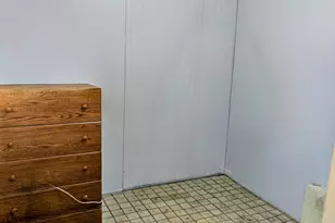 4805 S Elizabeth St, Chicago, IL 60609 - Photo 4